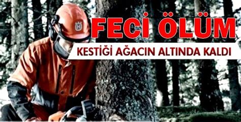 orman işçisi sigortası
